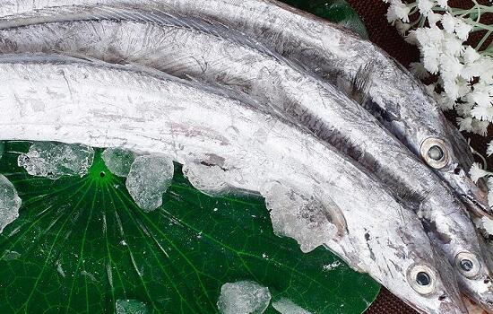 冰凍帶魚(yú)